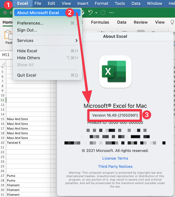 Excel Version